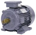 IE2 Cast Iron Foot Mounted Induction Motor