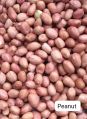 Natural Red groundnut seeds