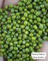 Green Moong Excellent Common Organic Pure Pure Green Whole hari moong