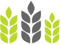 Agriculture Seed License Service