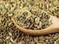 Common Light Brown fennel seeds