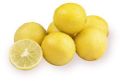 Common Yellow fresh lemon