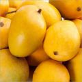 Common Yellow fresh mango