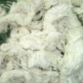 White Plain sizing cotton yarn waste
