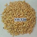 Curve Creamy sw320 cashew nuts