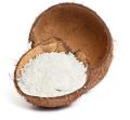 Common coconut powder