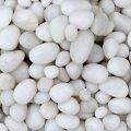 Natural Stone Non Polished Solid White Pebble Stone