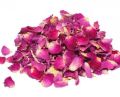 Fresh Rose Petals