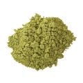 Green moringa leaves powder