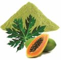 Natural Papaya Leaf Powder