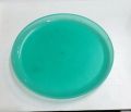 Plastic Green 12 inch round dinner plate