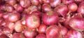 Oval Red onions