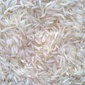 Common Creamy Indian Sharbati Rice