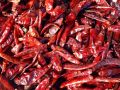 Common Raw Solid dry red chilli