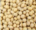 Nature soybean seeds