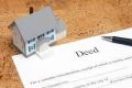 Property Will Deed Drafting Work