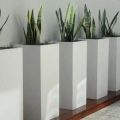 Polished Rectangular Round Square White Plain GRC Planter