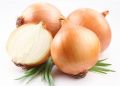 Organic Round fresh yellow onion
