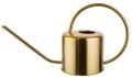 Golden Iron Watering Can