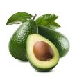 Oval green fresh avocado
