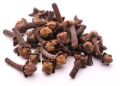 Brown Whole Cloves