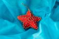 Refratex India Bead Multicolor Red Plain Refratex India Bead Red star shape christmas ornament