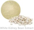 white kidney beans (Phaseolous vulgaris)Amylase activity