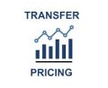 Transfer Pricing Audit Service