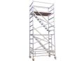 Mobile Scaffold Ladder