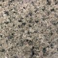 Nosera Green Granite Slab