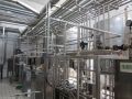 Dairy Processing Plant Installation Service