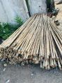18 feet bamboo