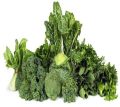 Fresh Green Leafy Vegetables