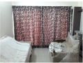 French Plate Curtain