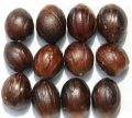Organic Brown Solid shelled nutmeg