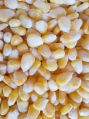Common Frozen Sweet Corn Kernels