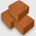 coco peat blocks