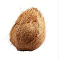 Organic Semi Husked Coconut