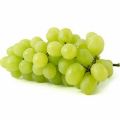 Organic fresh green grapes