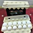 12 Egg Hot Pressed Paper Pulp Tray with Lock