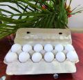 12 Eggs Paper Pulp Tray with Lock