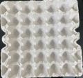 Paper Pulp Egg Tray for 30 Hatchery Eggs