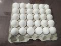 Paper Pulp Egg Tray for 30 Eggs