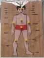 Body Wooden Puzzle