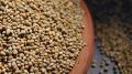 Natural Organic Fine Processed Brown pearl millet