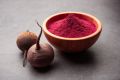 Spray Dried beet root Powder