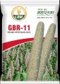 GBR-11 Bajra Seeds
