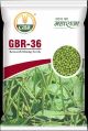 GBR-36 Moong Seeds