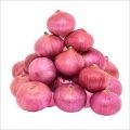 Organic Round Fresh Pink Onion