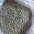 Organic perilla seeds